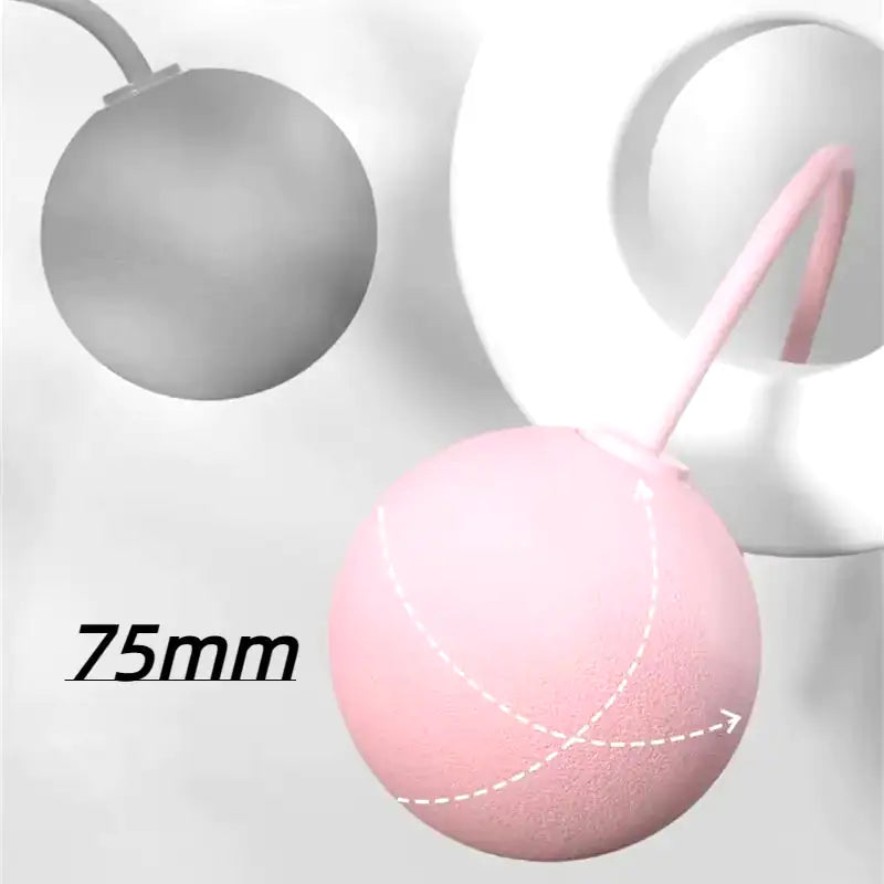 1Pcs Cordless Jump Rope Home Gym