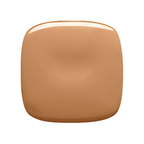 L'Oréal True Match Adaptable Foundation