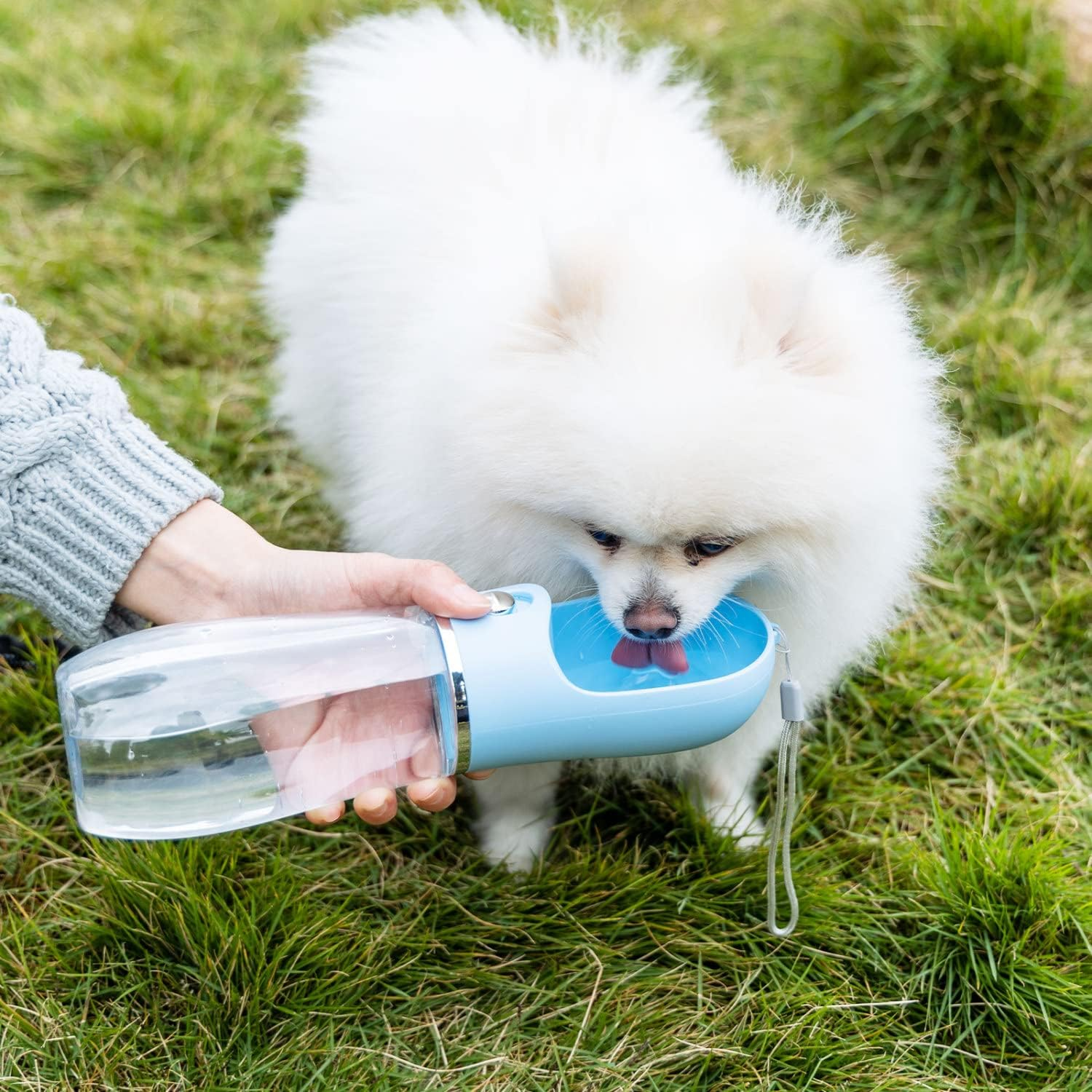 Leak-Proof Travel Drinking Fountain